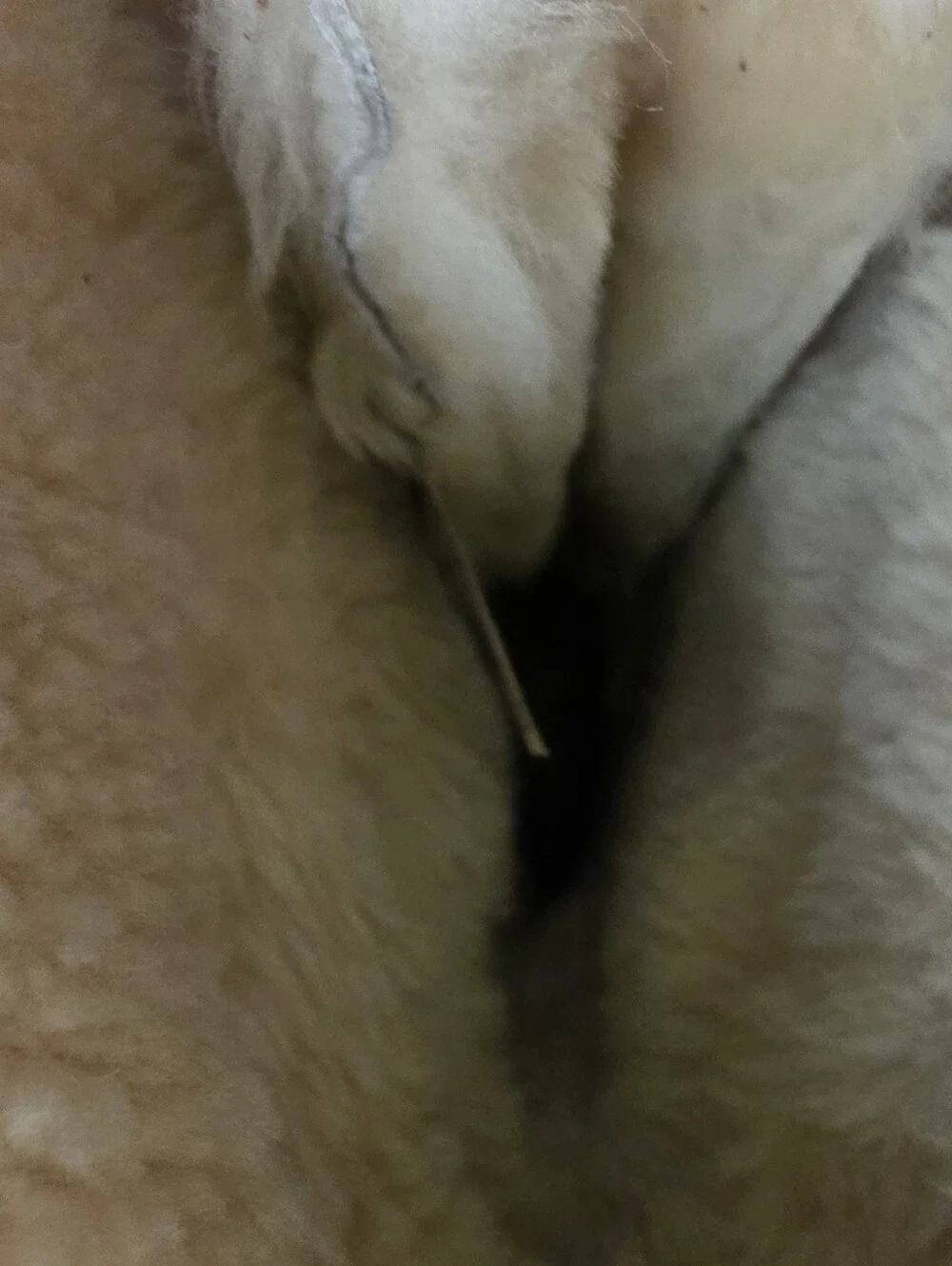UGG Boots 1892 Montclair shoes sheepskin size 8